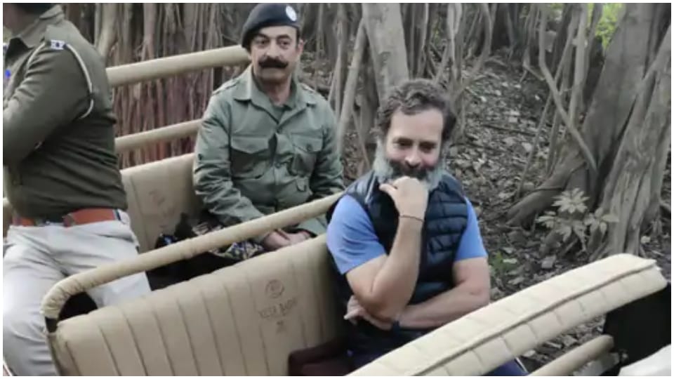 Sonia Gandhi Celebrate Her Birthday In Ranthambore With Rahul Priyanka Rajasthan