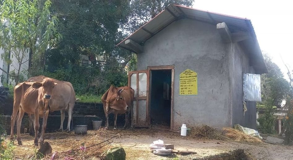 Milk Cluster in Champawat