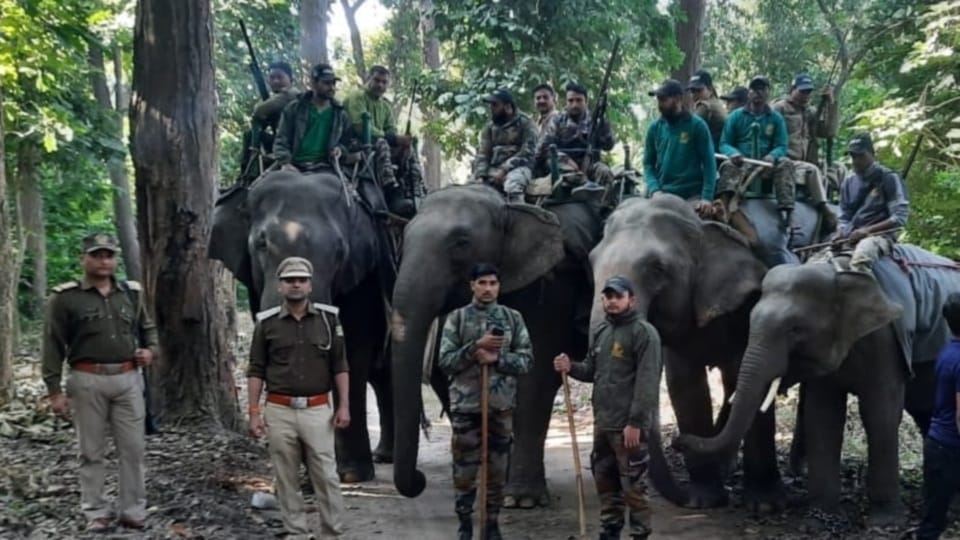 New Year 2023: Red alert in Rajaji Tiger Reserve Cancellation of holidays of employees