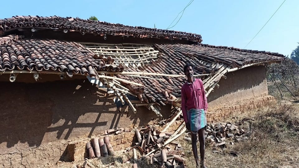 42 elephants entered Rajauti village in Sitapur