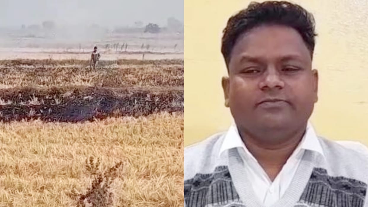 MP News Action will be taken against the farmers who burn Narwai in the fields in Satna