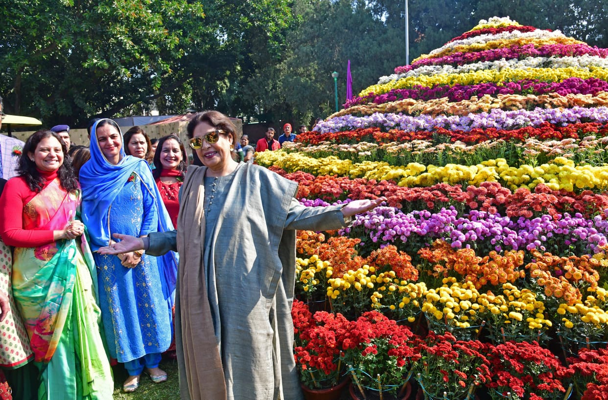 chrysanthemum show started terrace garden smelled of flowers