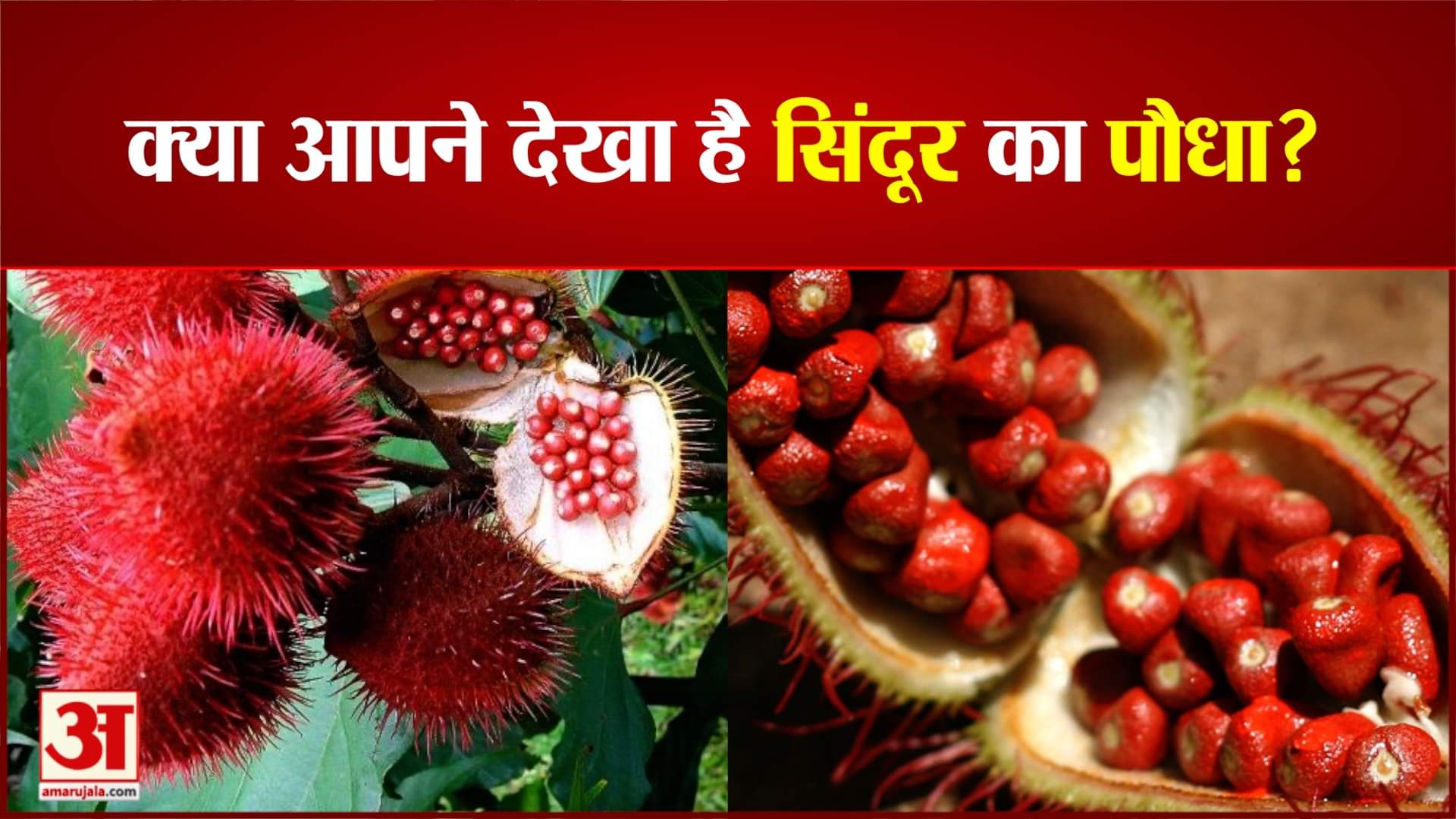 एयूवी