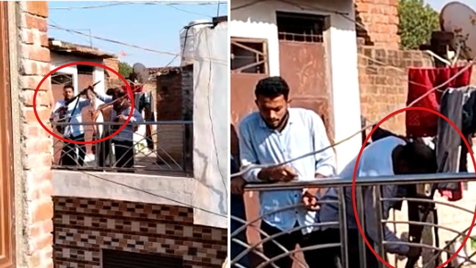 Guns came out for rights on cow tying peg in gwalior