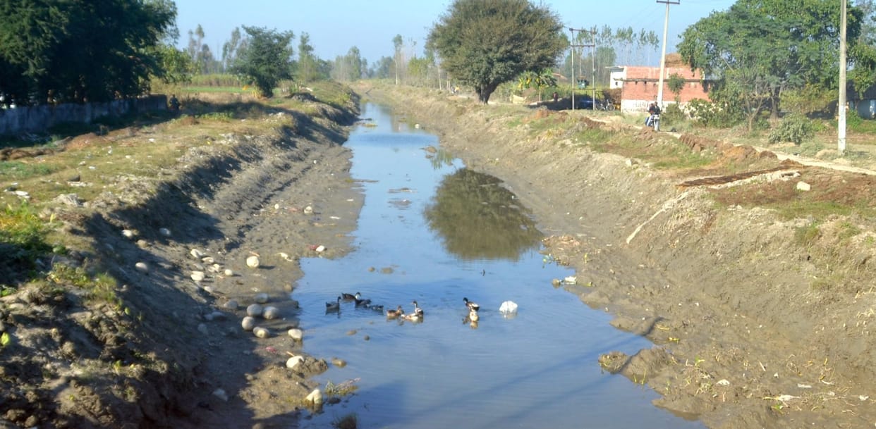 irrigation