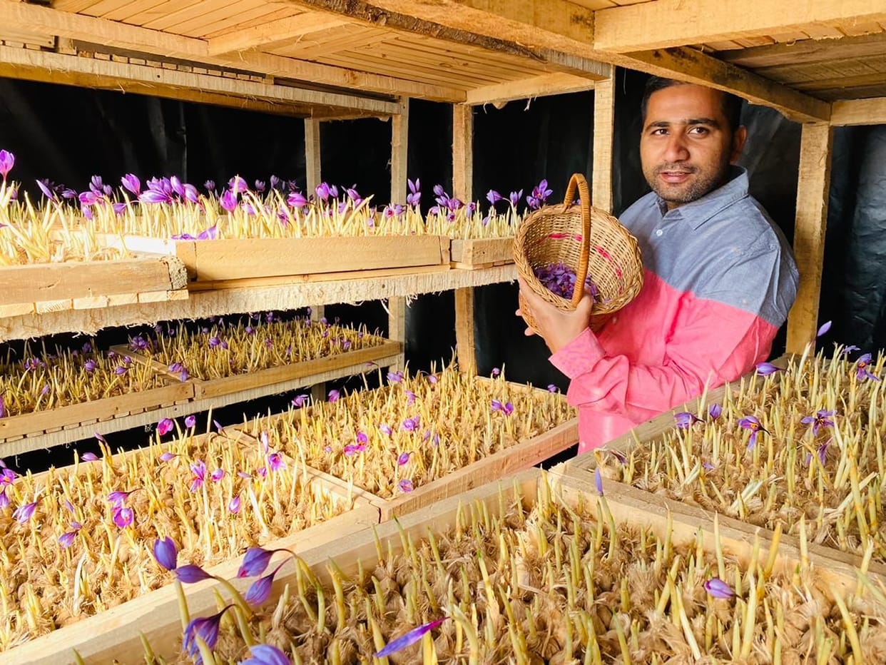 engineering pass praveen grew saffron in soil lab without watching youtube video