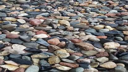 Optical illusion: Can you find the hidden frog in this picture within 11 seconds check your brain iq