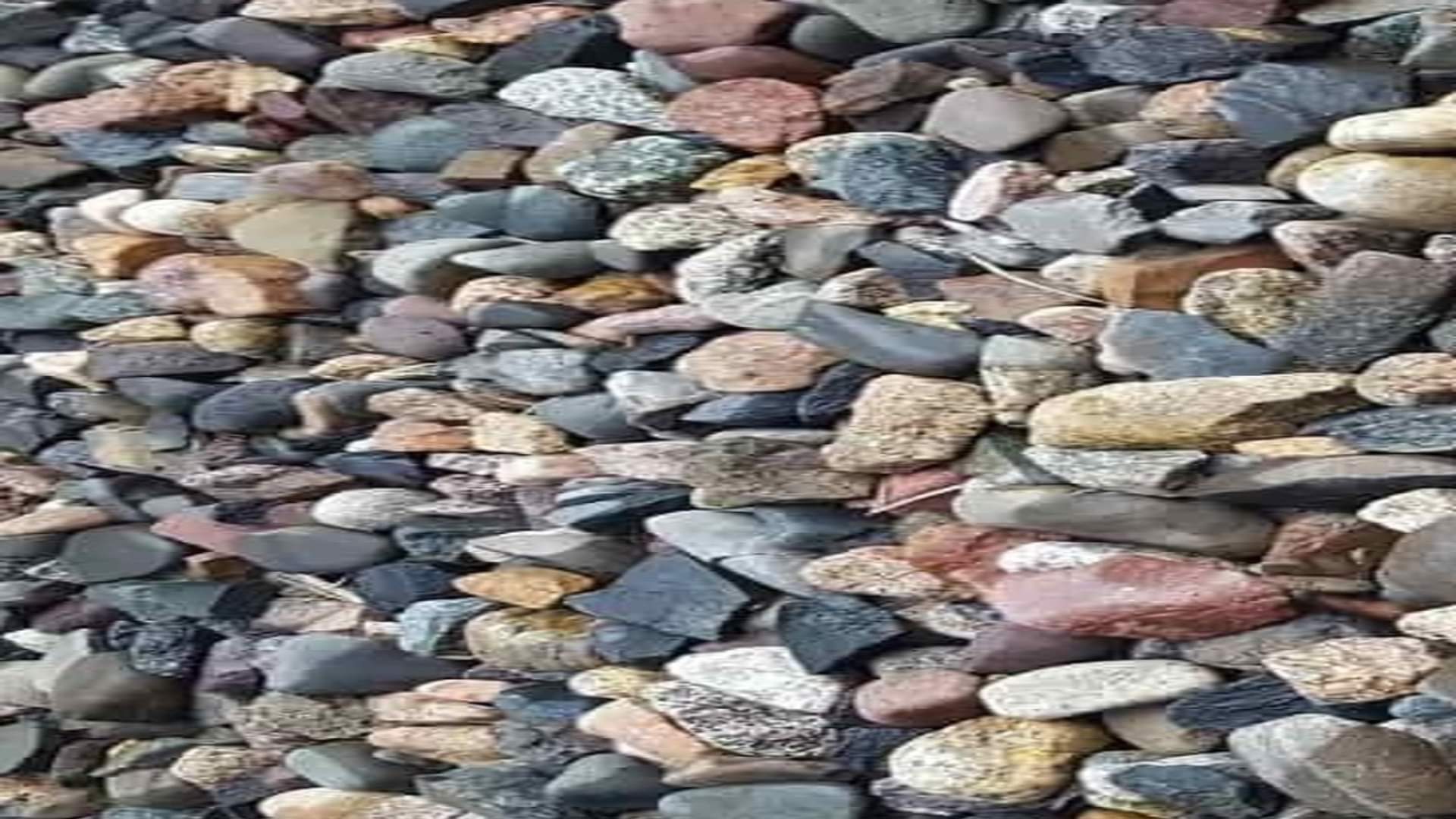 Optical illusion: Can you find the hidden frog in this picture within 11 seconds check your brain iq