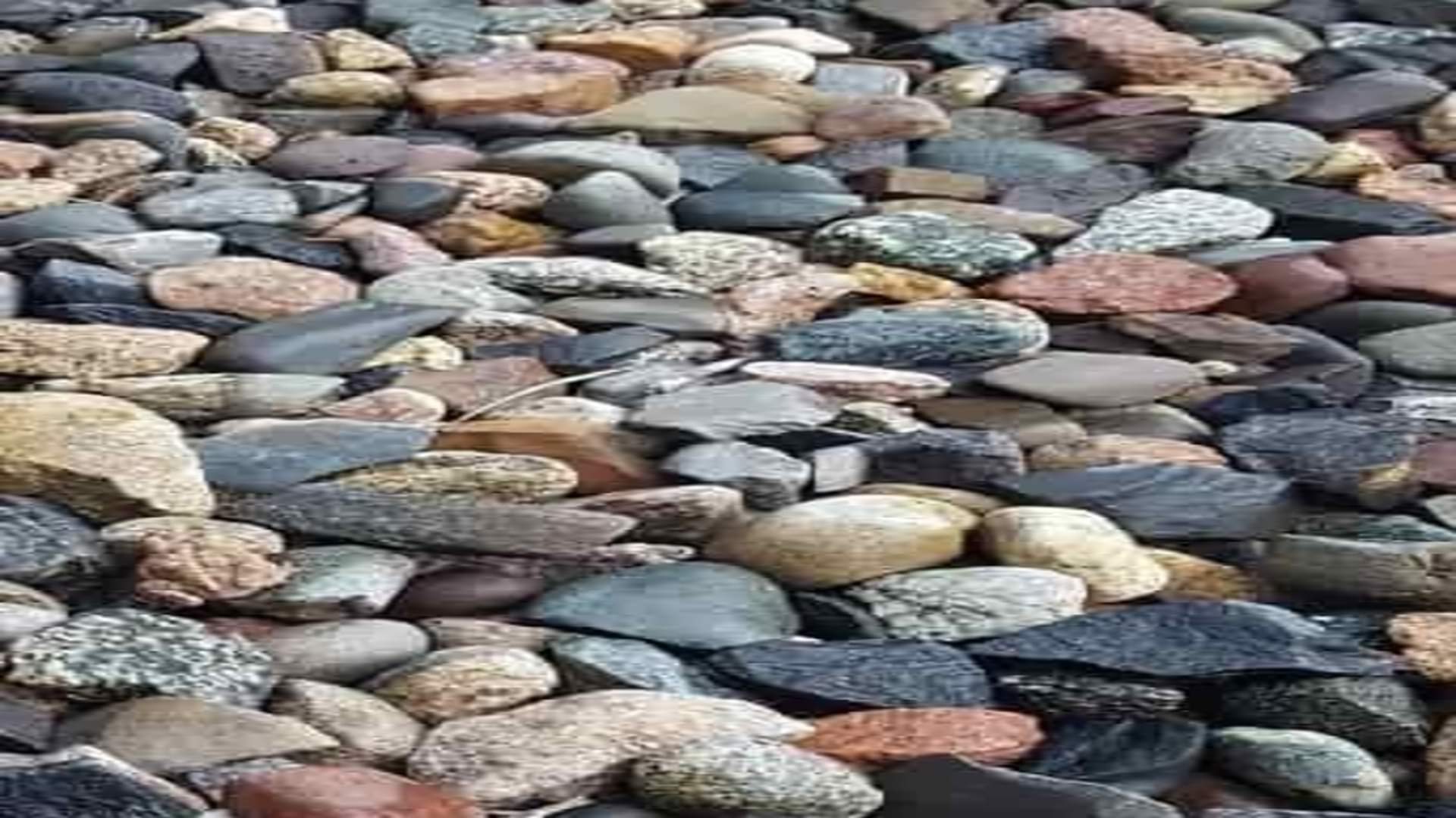 Optical illusion: Can you find the hidden frog in this picture within 11 seconds check your brain iq