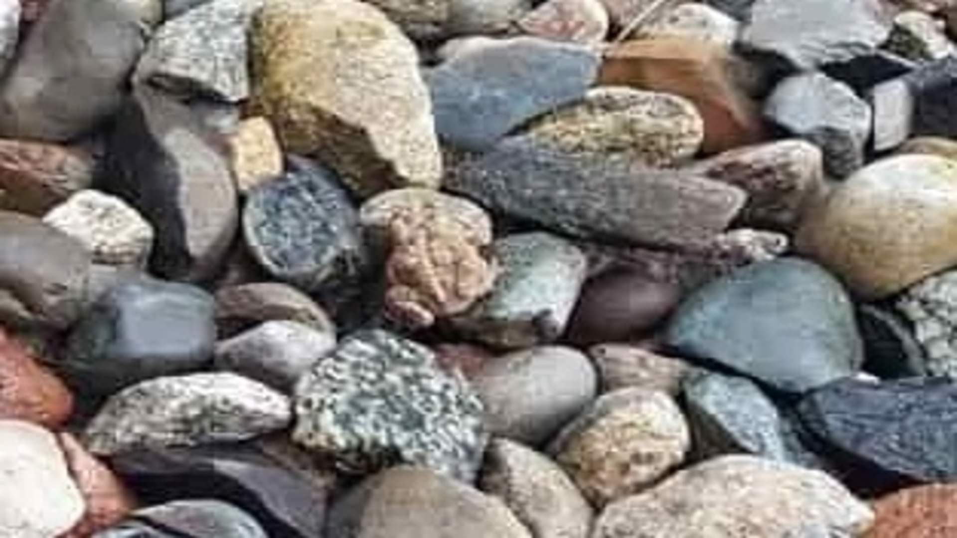 Optical illusion: Can you find the hidden frog in this picture within 11 seconds check your brain iq