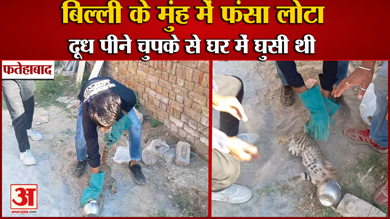 फतेहाबाद
