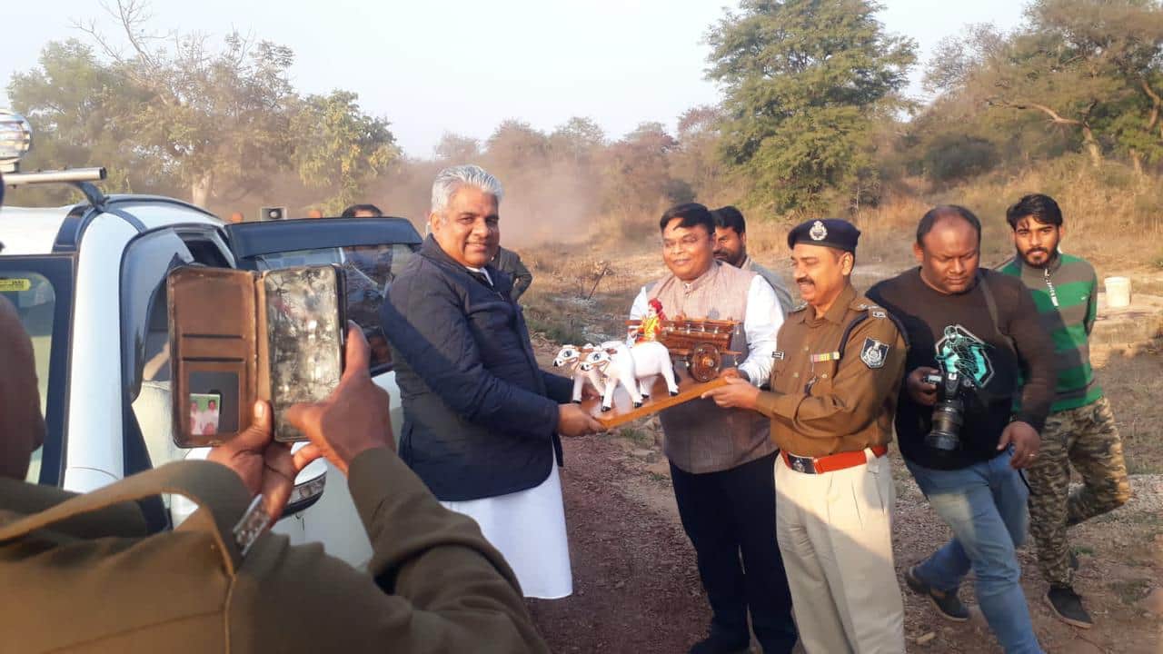 12 Cheetahs from South Africa To Join Namibian Cheetahs In Kuno National Park This Month