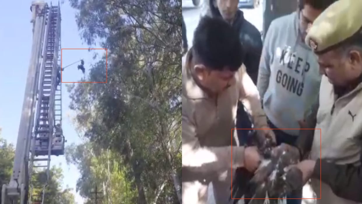 Meerut: Chil stuck in wires near IG office, hydraulic machine stuck in tree while unloading