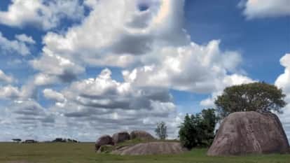 Viral Optical Illusion: Spot The Hidden Lion in Photo Brain Teaser Picture Puzzle