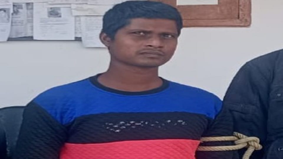 Hair came out in food then husband made wife bald in pilibhit