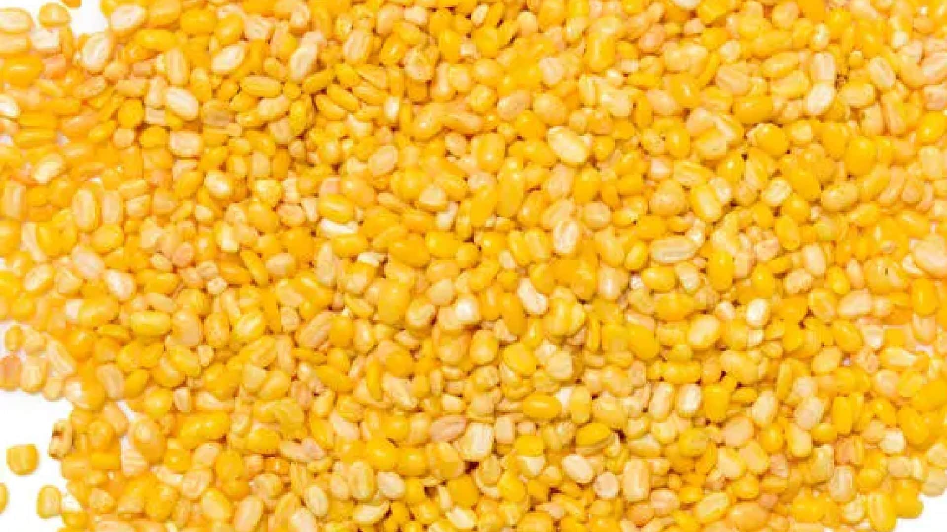 How to Make South Indian Dish Nippattu Recipe With Rice Flour and Peanuts News in Hindi