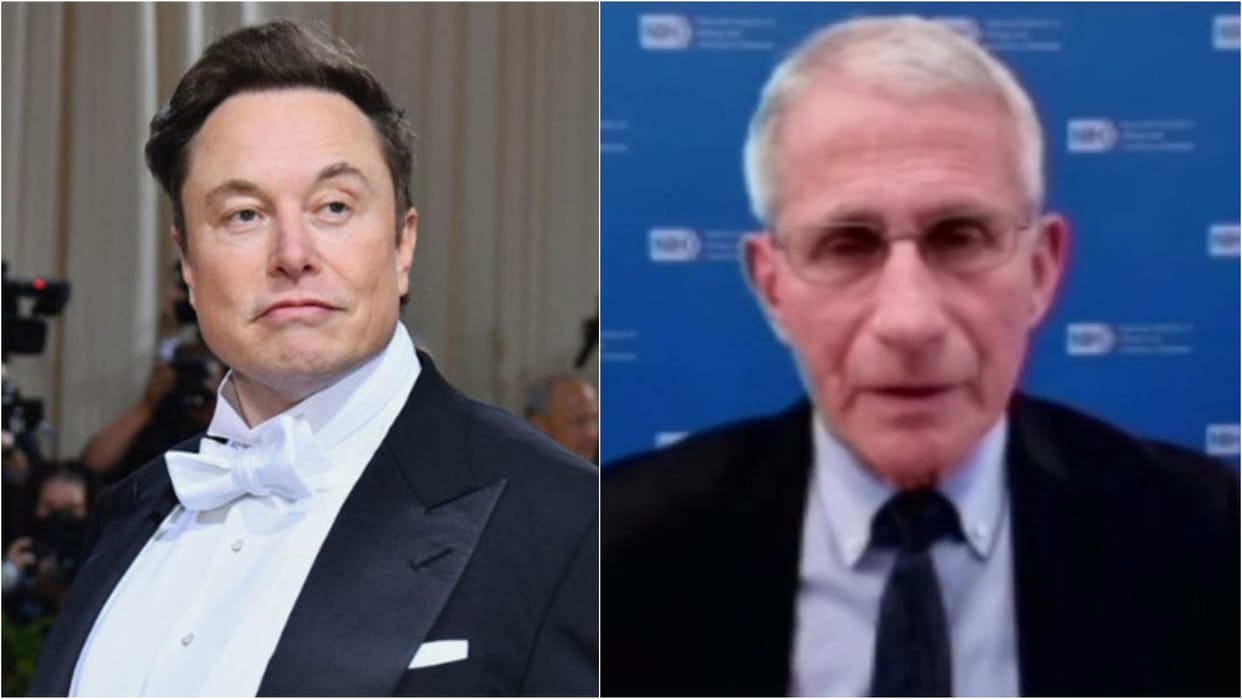 Elon Musk targets top us health official Anthony Fauci White House called it disgusting