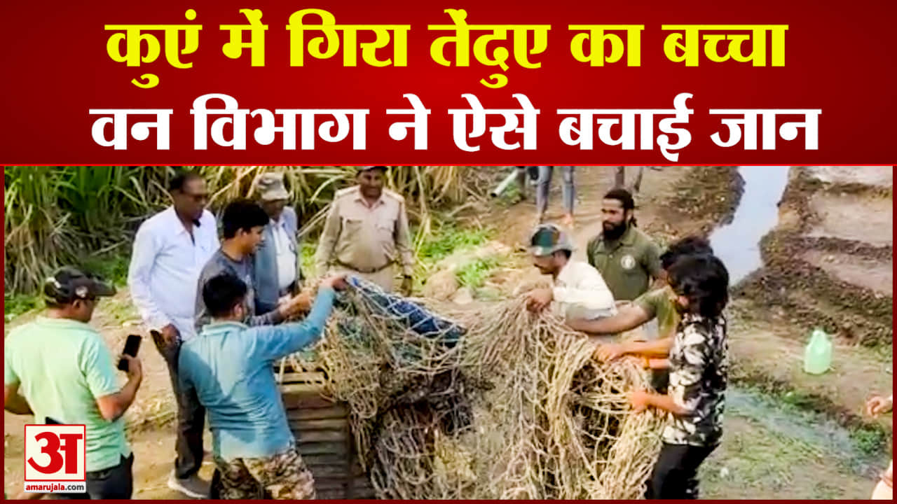 कुएं में गिरा तेंदुए का बच्चा, वन विभाग ने किया रेस्क्यू