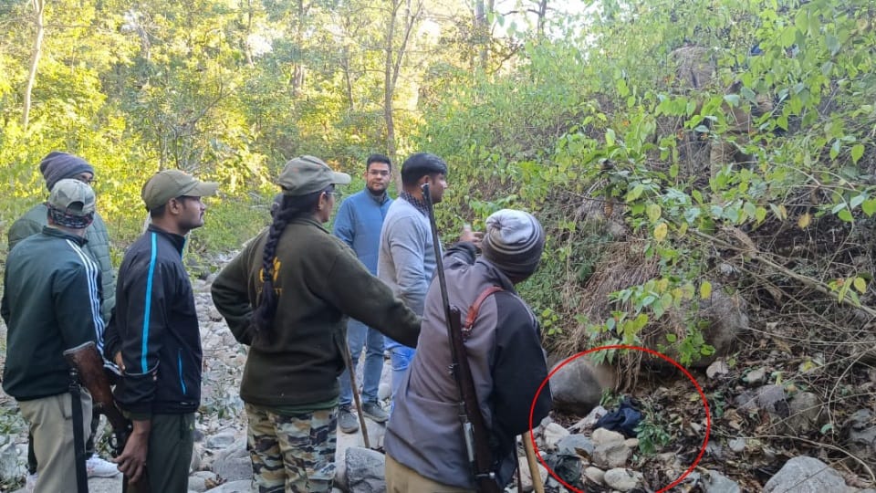 Nainital News: Tiger killed Mentally deranged youth near Mohan