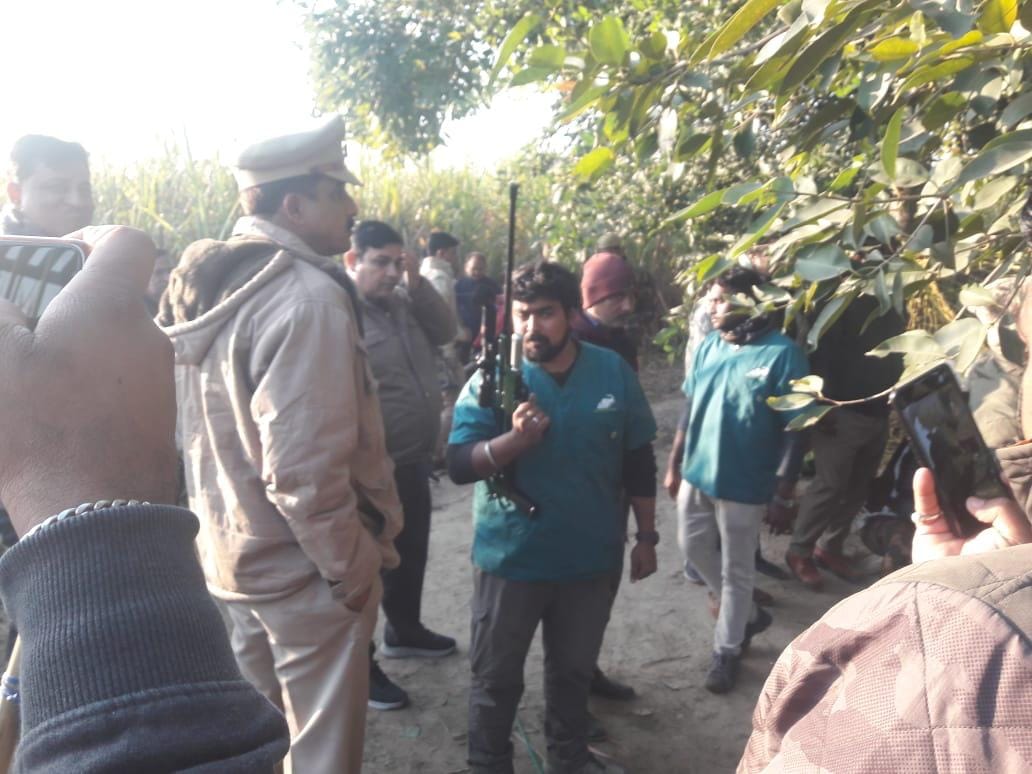 Leopard rescue succeeded after thrty eight hours n baghpat district