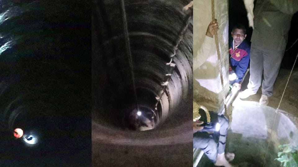 Villagers rescue two puppies from 80 feet deep well in Agra