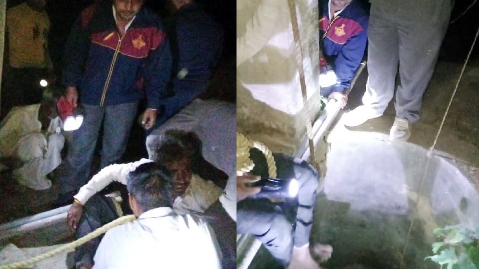 Villagers rescue two puppies from 80 feet deep well in Agra