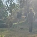 राजोरी में तलाशी अभियान चलाते सुरक्षाबल
