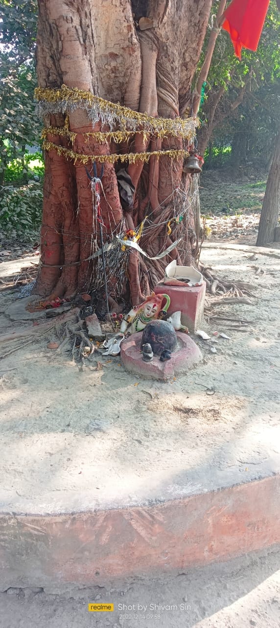 Chaotic elements broke the Shiva statue Devotees who went to worship in the morning were stunned by the sight