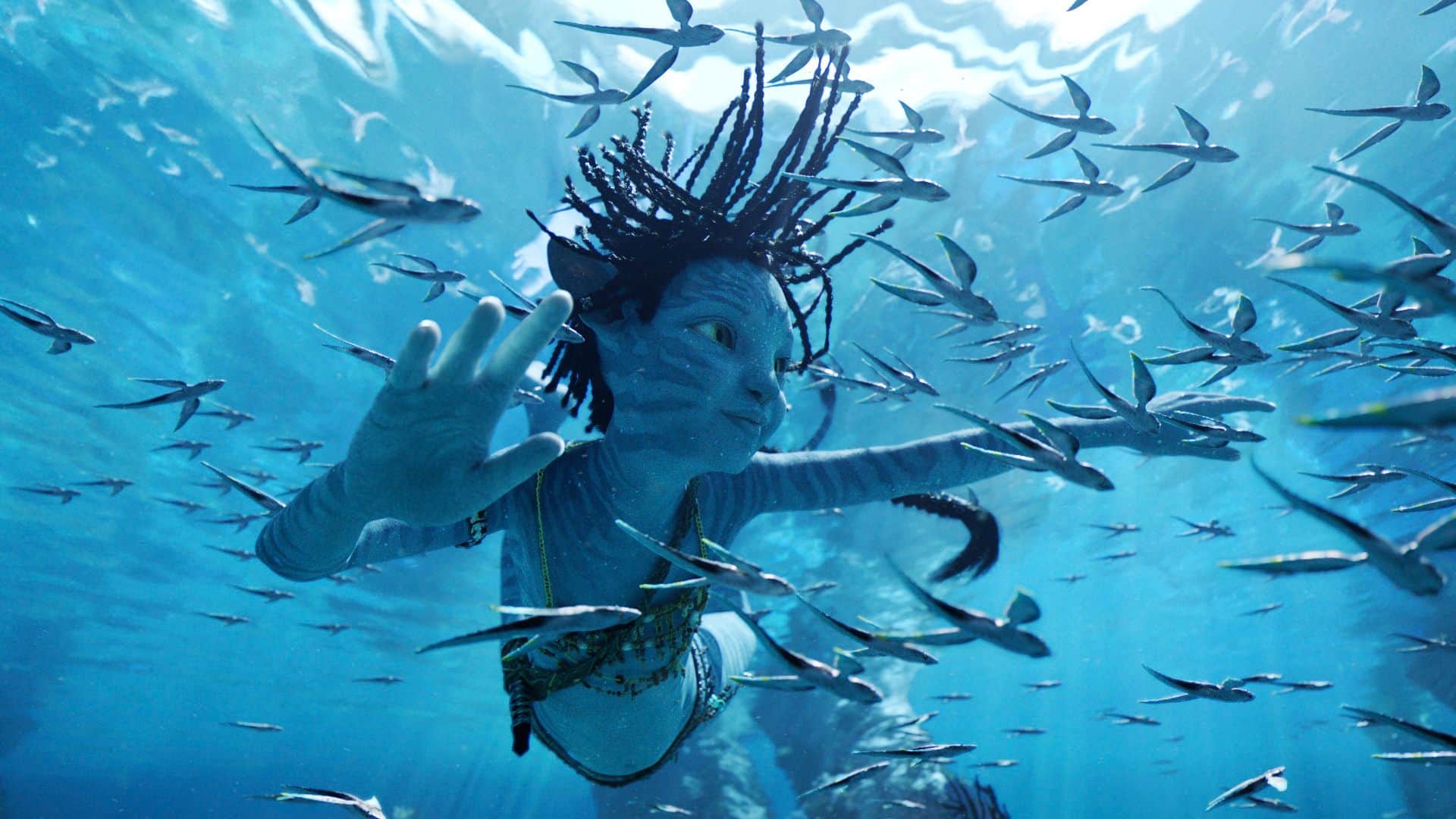 Avatar The Way of Water First Day Advance Booking Collection India language wise Hindi Tamil Telugu screens