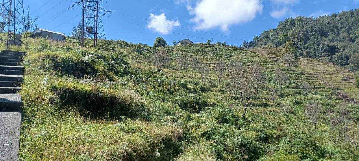 Sale of mountain agricultural products will be done from the outlet
