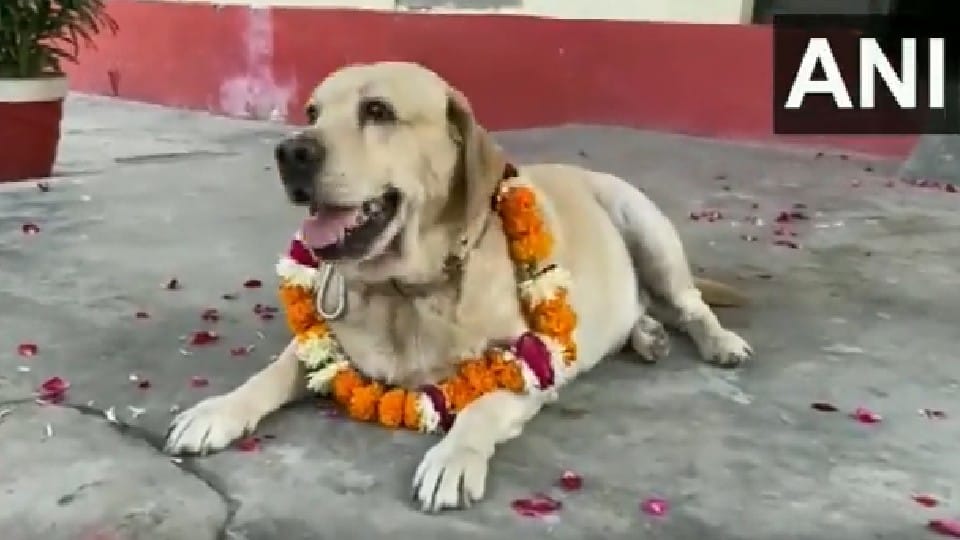 RPF dog Don gets new owner as he retires after service of seven years in Mathura