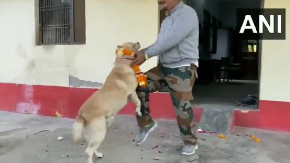 RPF dog Don gets new owner as he retires after service of seven years in Mathura