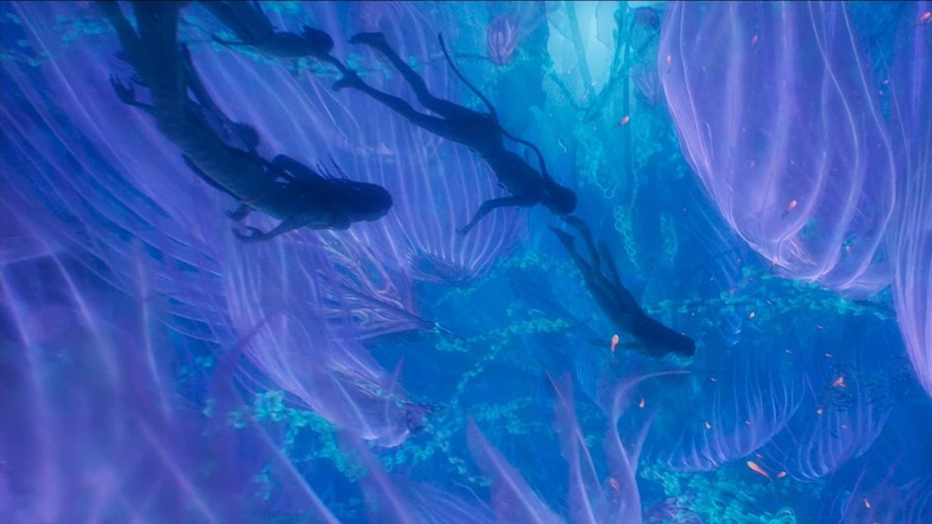 Avatar The Way Of Water is mesmerizing experience to watch cinema on big screen james Cameron avatar 2 review