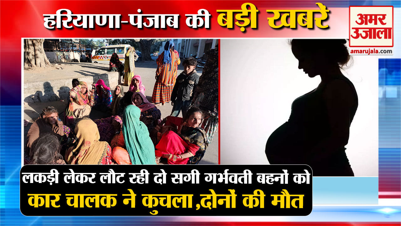 हरियाणा न्यूज