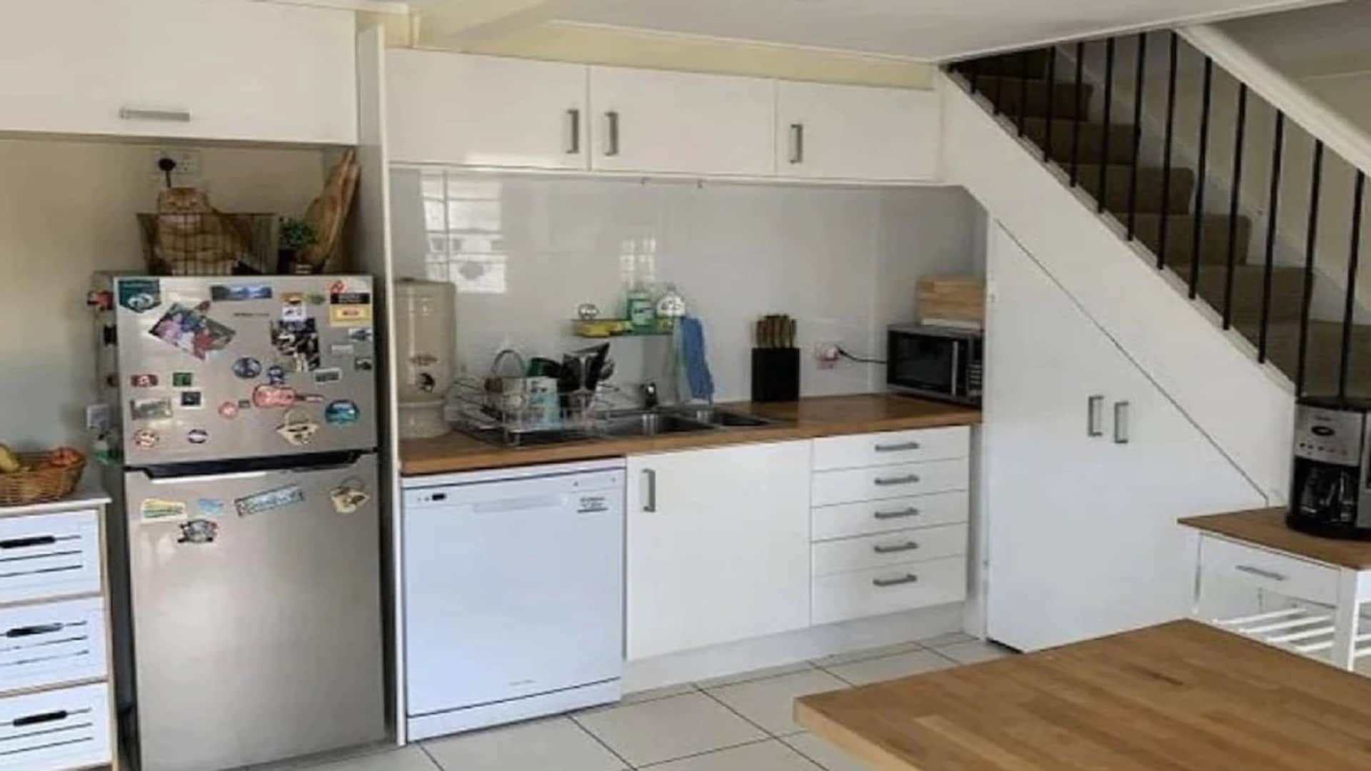 Optical Illusion Can You Find Hidden Cats in These Pictures News in Hindi