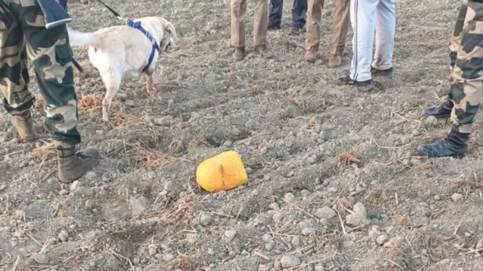 BSF troops intercepted consignment dropped by Pakistani drone in Fazilka, one packet Heroin recovered