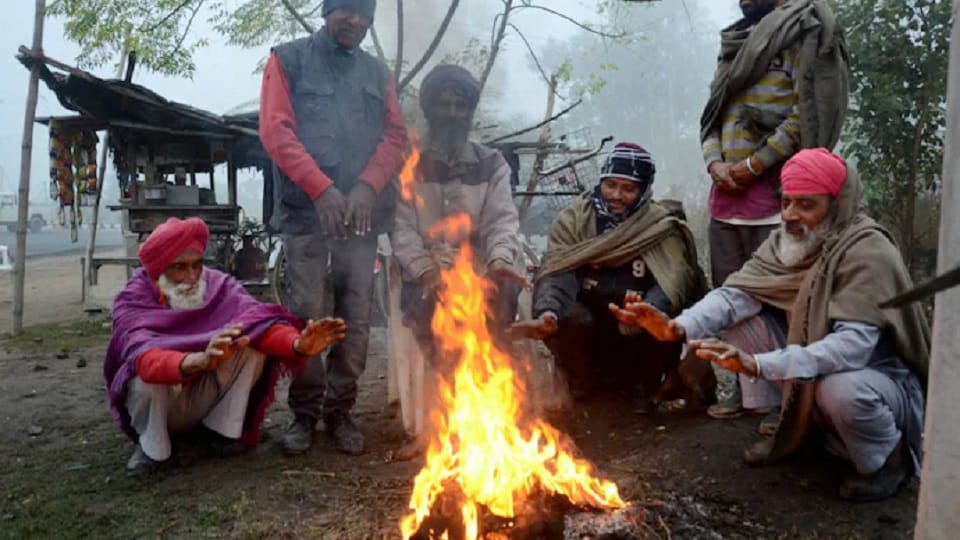 Weather Report Today 16 December, Current Temperature In Delhi, Winter Update, Cold In North India, Snowfall