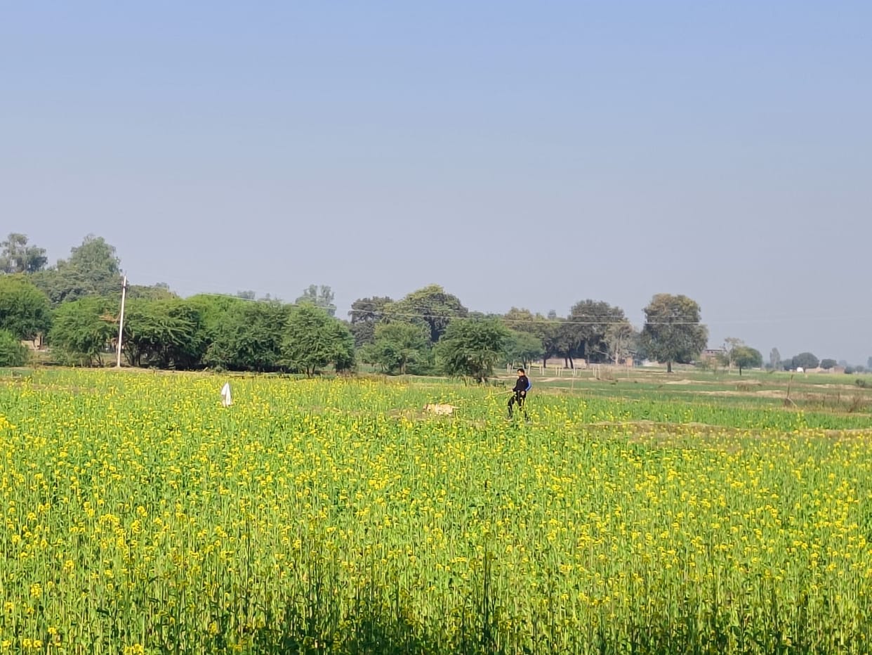 Girls murder case in Banda, Dog squad reinvestigated, blood stains found near the well