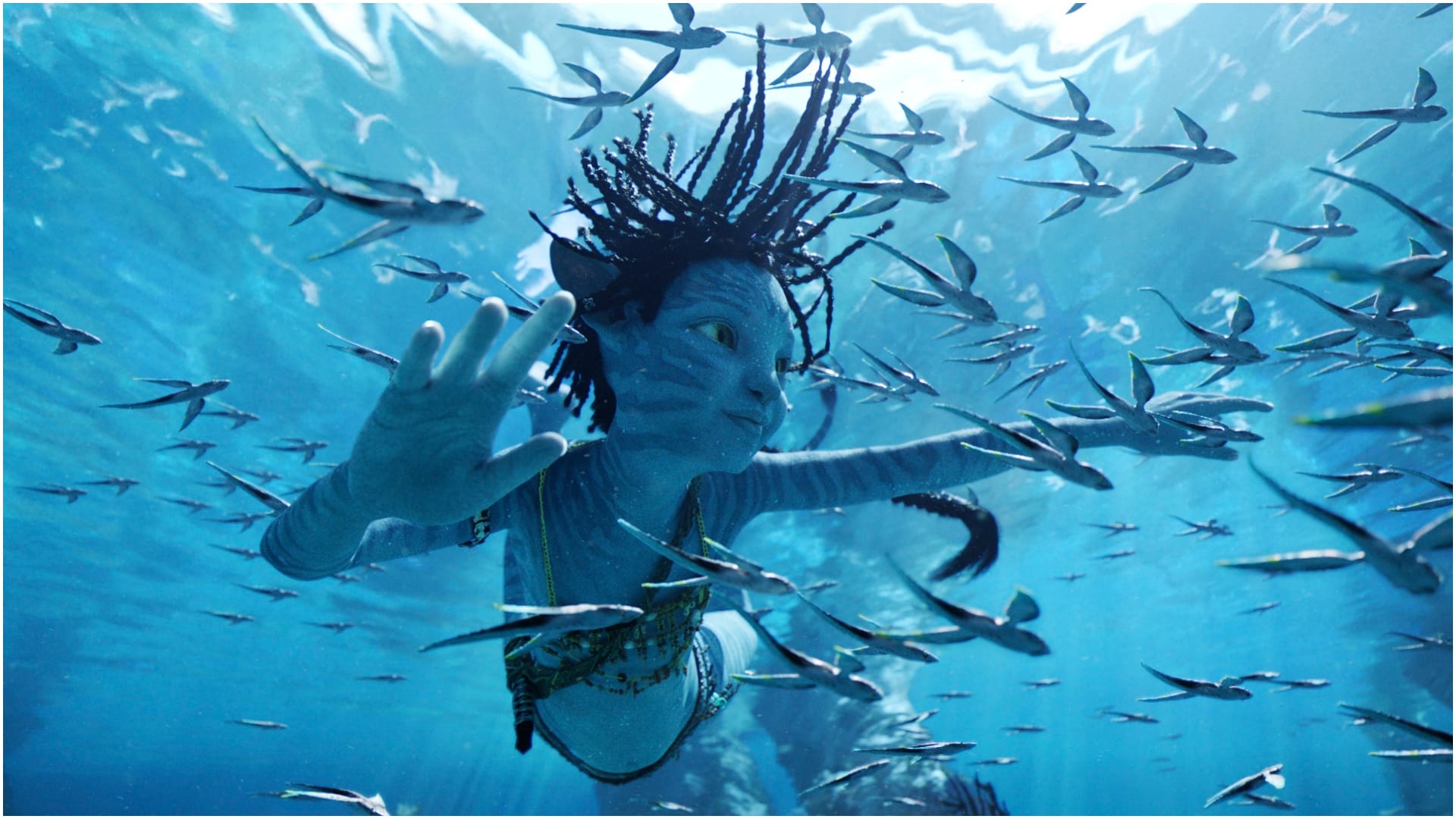 Avatar The Way of Water Day 1 box office collection India language wise