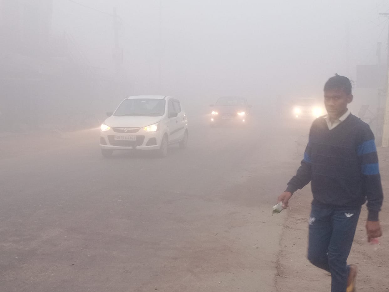 Fog, cold stopped life