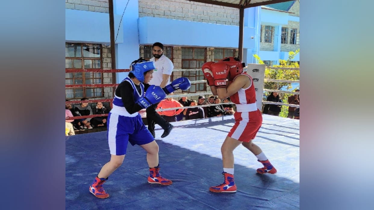 Inter College Boxing Competition: Deepika of Mandi defeated Priya of Karsog in 45 kg weight category