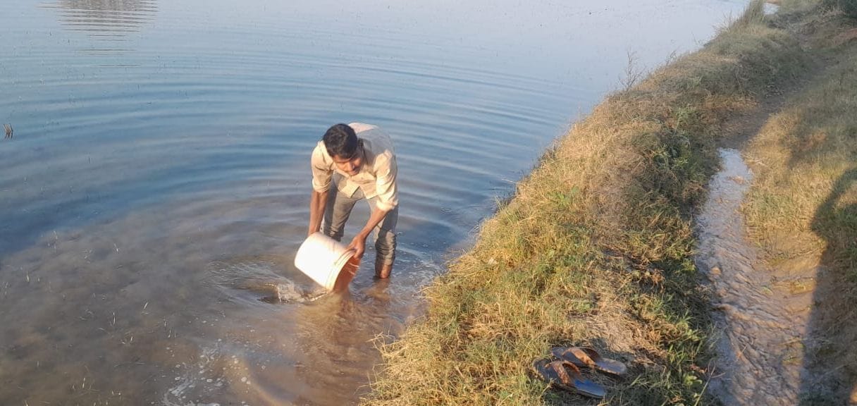 Mainpuri: The crop of the farmers has been ruined, the administration is sitting on its hands