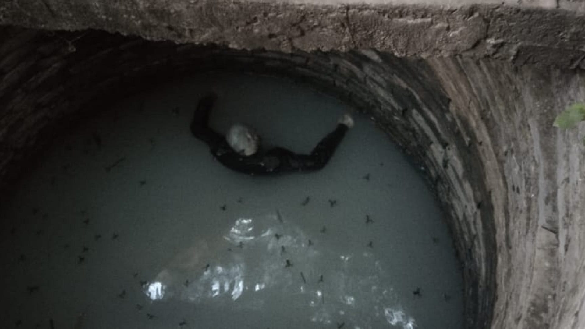 young man murdered in his house, missing old man body found in well