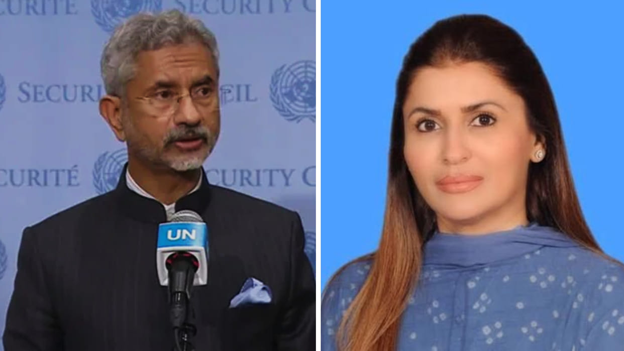 Pakistan reaction after eam s jaishankar response in UN