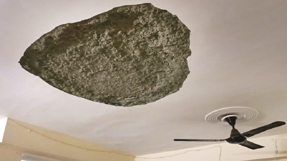 plaster of ceiling of a flat fell third time in Tower-16 of La Residencia Society of Grano West