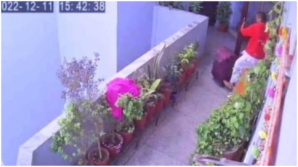 Jaipur Murder Case Update Story Nephew cut dead body into eight pieces