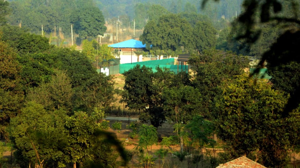 Influential people built luxurious farm houses illegally In middle of Shivalik hills