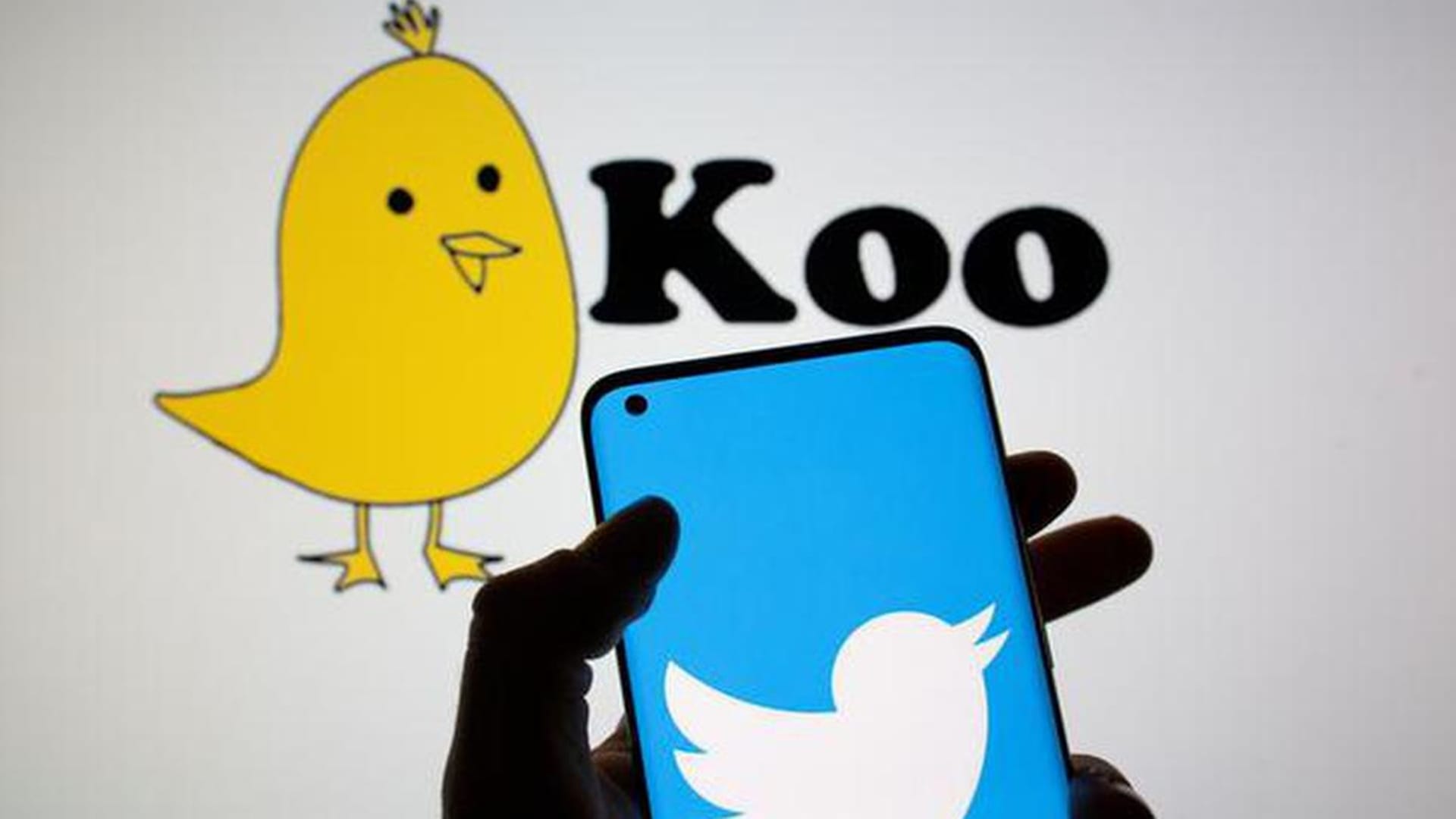 Twitter suspends Koo handle backlash from Indian Platform cofounder on free speech news in hindi