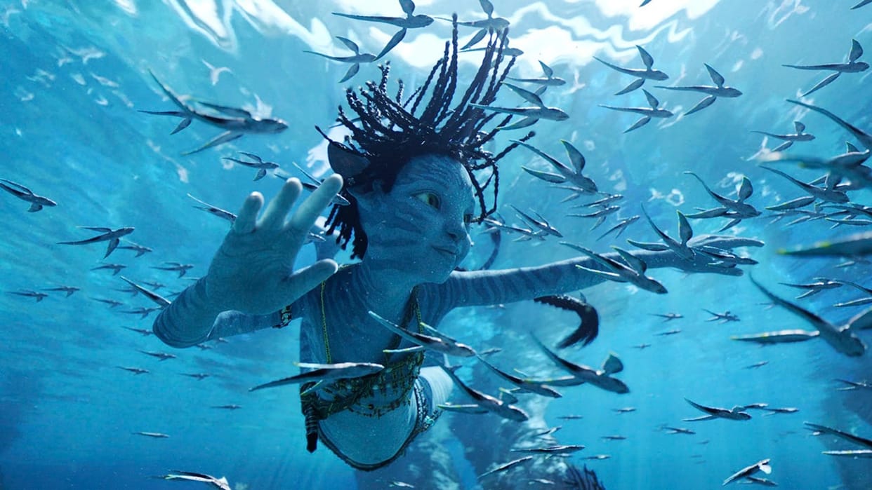 Avatar The Way Of Water Box Office Collection India day three James Cameron Film Sunday earnings