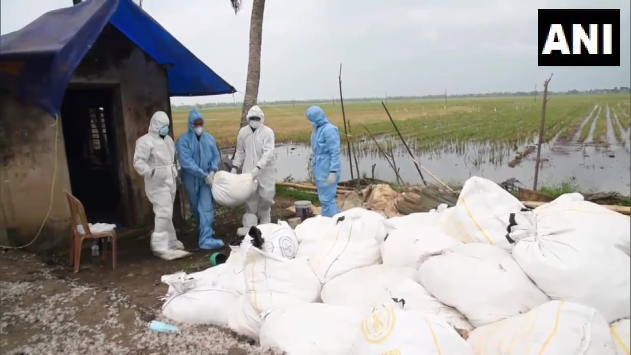 bird flu in kerala two H5N1 virus outbreaks at 2 places Kottayam